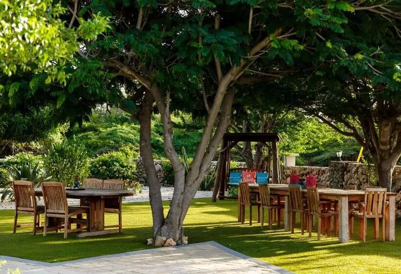 Aruba Boutique Apartments   Adults Only