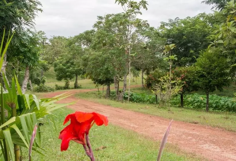 هتل Bulaeinn Villas