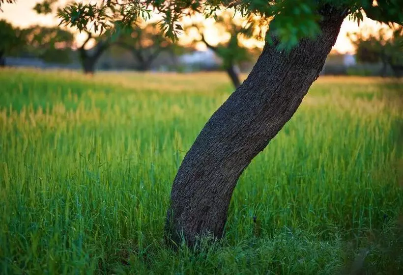 Hotelli Masseria Ciavea