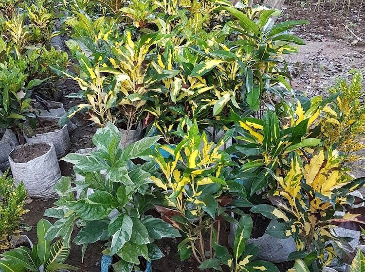 هتل Retreat Lodge And Conference Centre