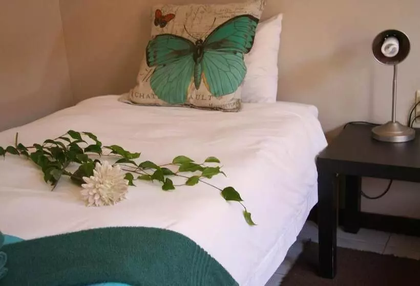 پانسیون Dunedin Star Guesthouse