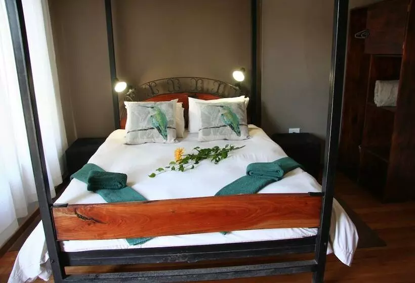 پانسیون Dunedin Star Guesthouse