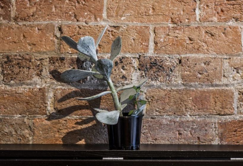 Quaint 1880s Sydney Terrace House