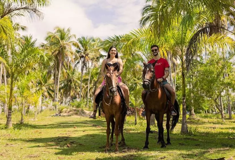 ホテル Eco Pousada Paraiso Dos Coqueirais