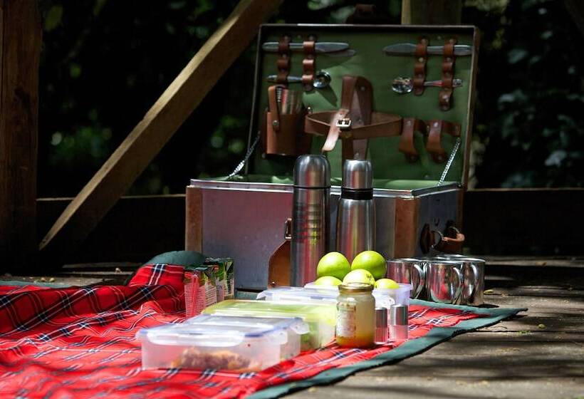 هتل Elewana Lewa Safari Camp