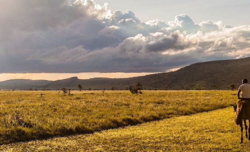 هتل Elewana Lewa Safari Camp