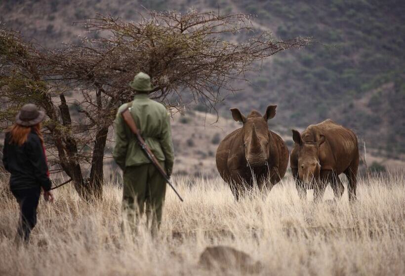 هتل Elewana Lewa Safari Camp