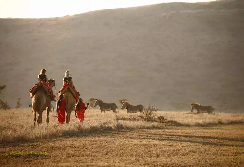 هتل Elewana Lewa Safari Camp