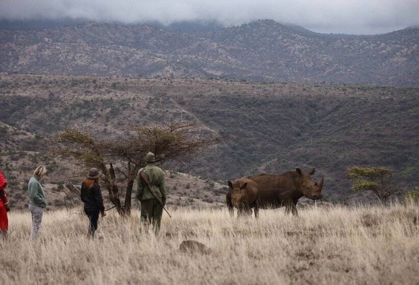 هتل Elewana Lewa Safari Camp