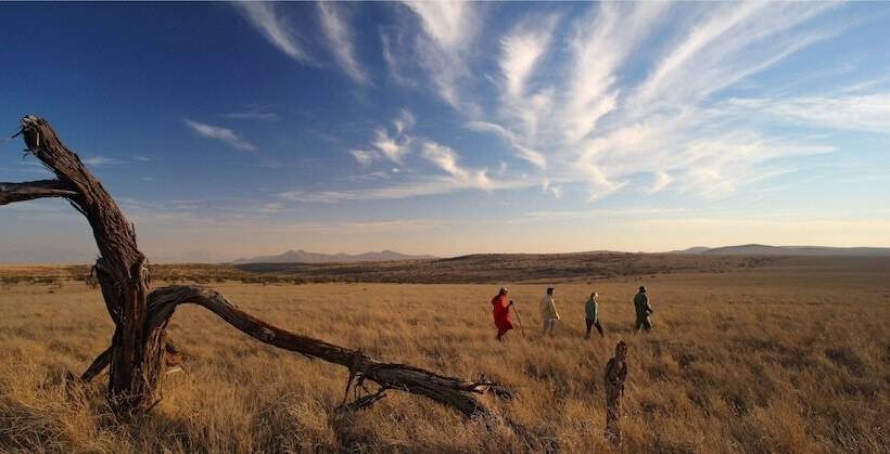 هتل Elewana Lewa Safari Camp