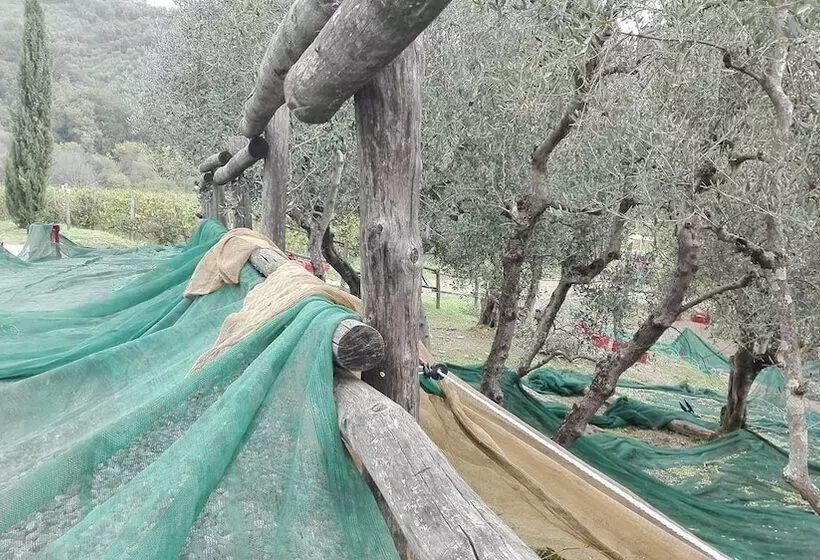 ホテル Fattoria Di Fubbiano