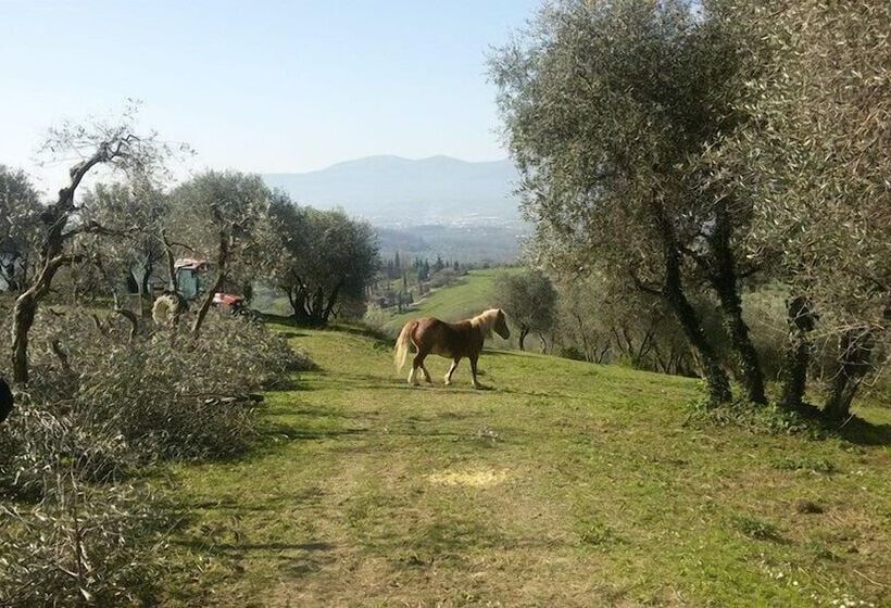 ホテル Fattoria Di Fubbiano