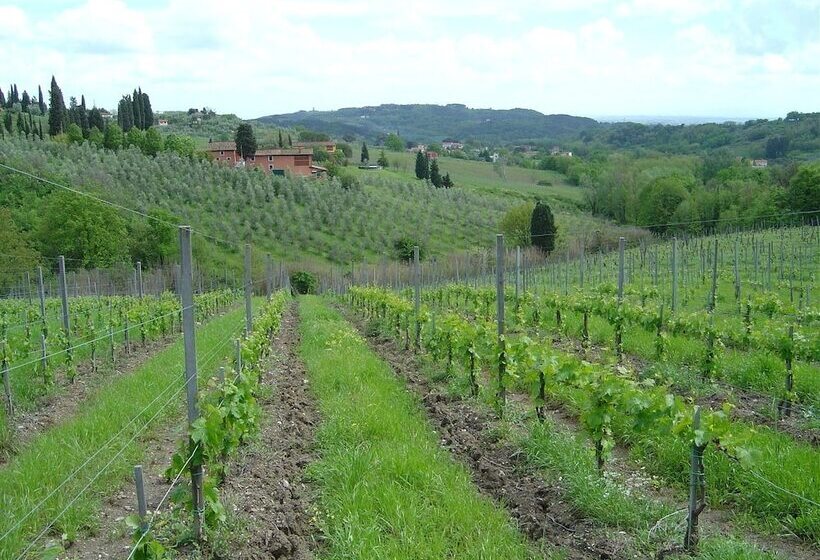 ホテル Fattoria Di Fubbiano