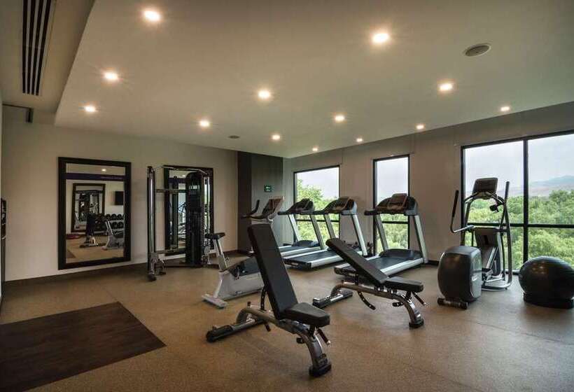 هتل Hampton Inn San Luis Potosi