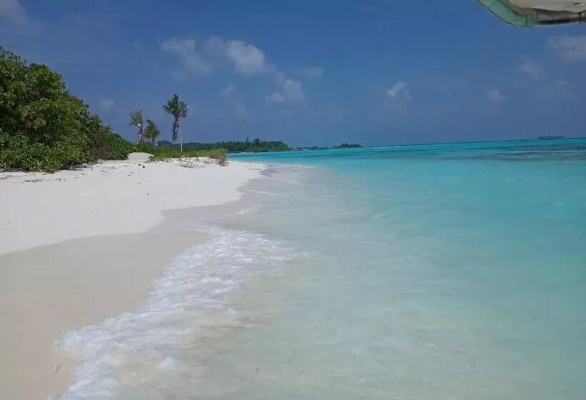 هتل Surf Retreat
