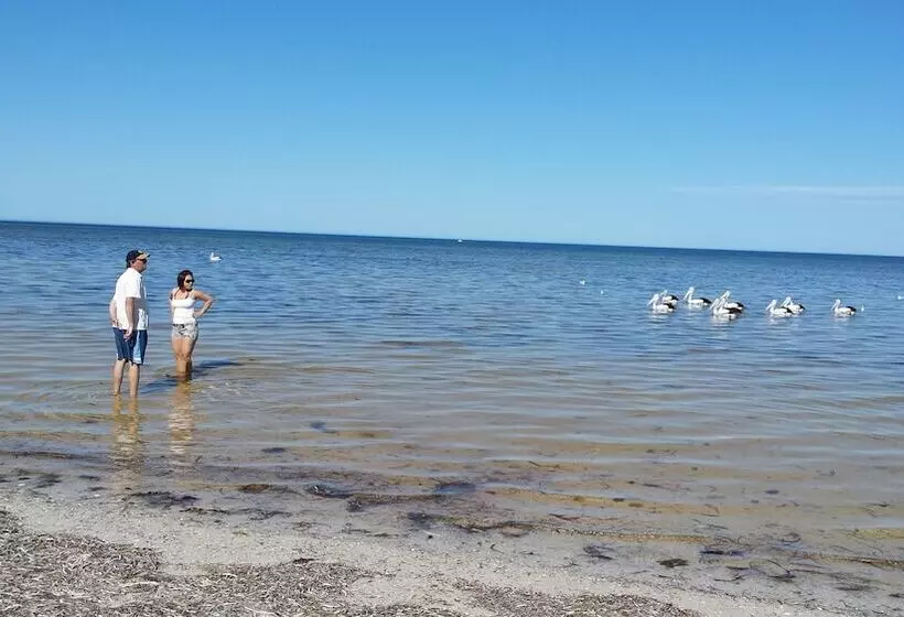 Motelli Oyster Court Apartments