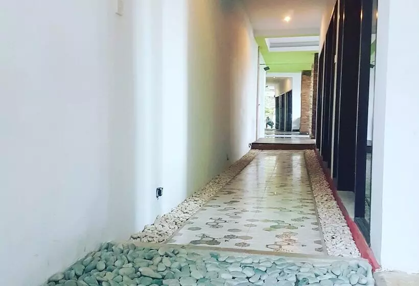 پانسیون Valomia Guest House