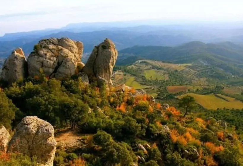 Terra Dominicata   Hotel & Winery   Adults Only