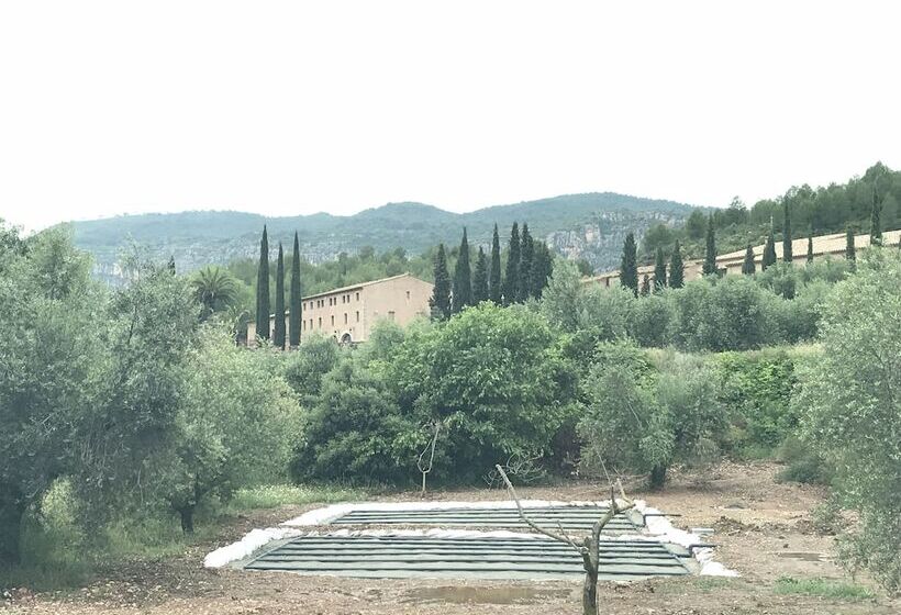 Terra Dominicata   Hotel & Winery   Adults Only