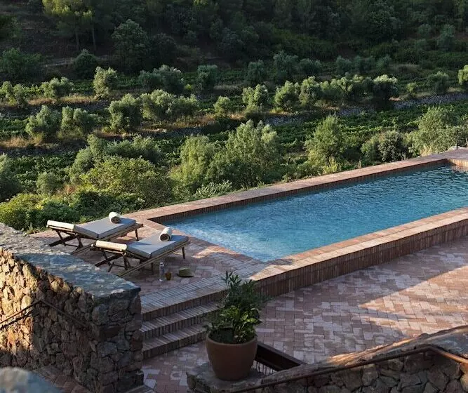 Terra Dominicata   Hotel & Winery   Adults Only