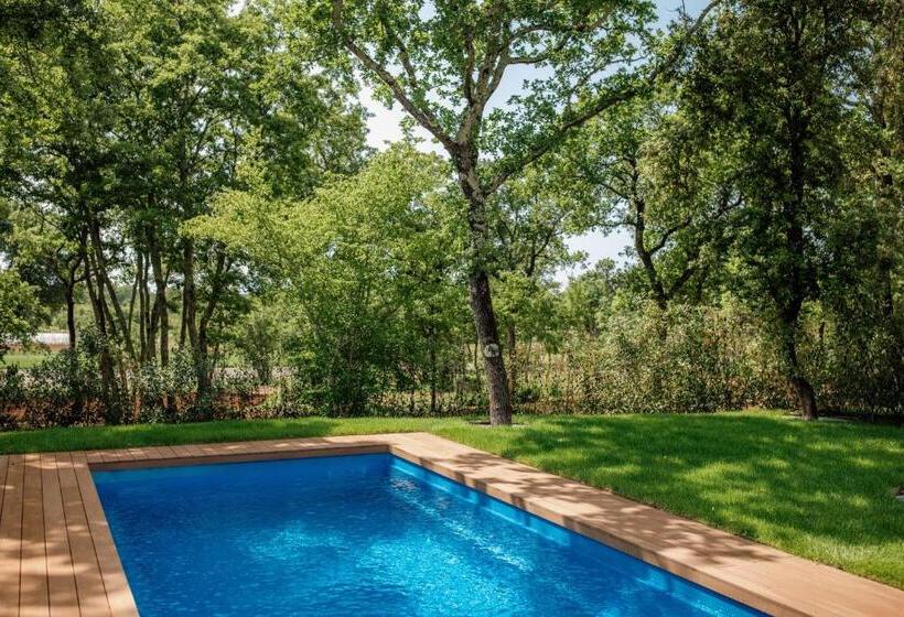 Meneghetti Wine Hotel And Winery   Relais & Chateaux