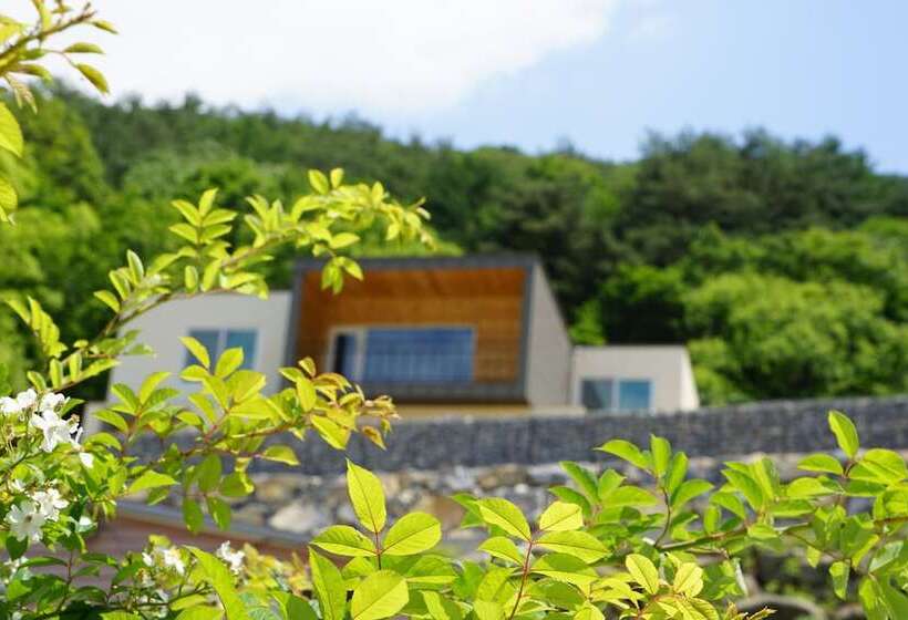 Moonlight Village Pension