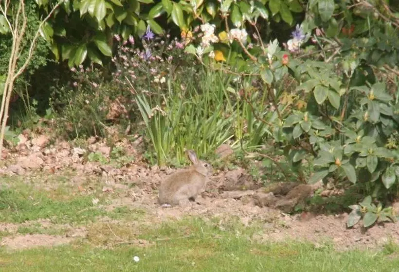 Majatalo Au Charme Du Lac Piscine Chauffé Proche Parc Et Restaurant Du Casino