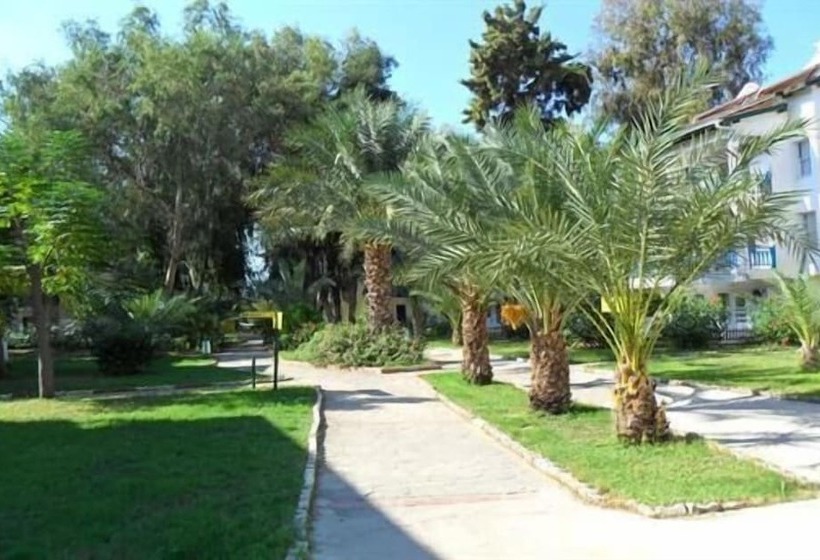 Club Oasis Eternity Hotel   All Inclusive