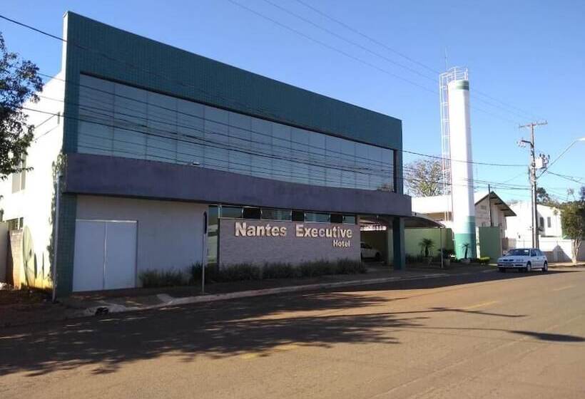 Отель Nantes Executive