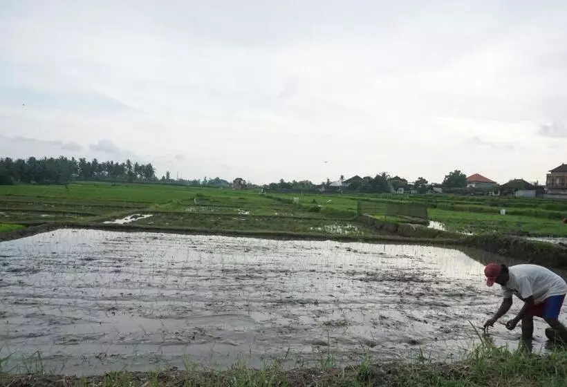 ペンション Pondok Uma Ubud