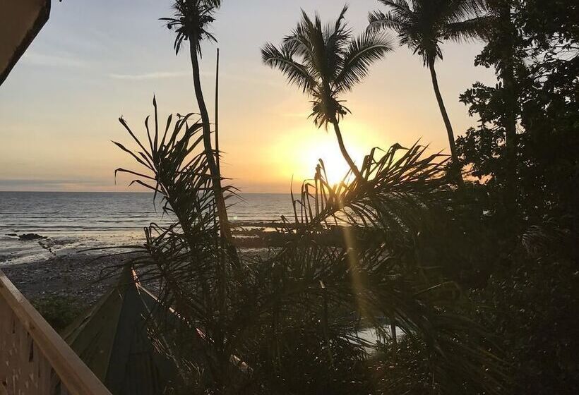 Pension Les Palmiers