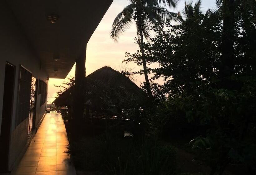 Pension Les Palmiers