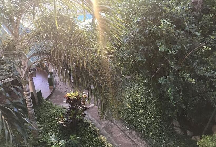 Pension Les Palmiers