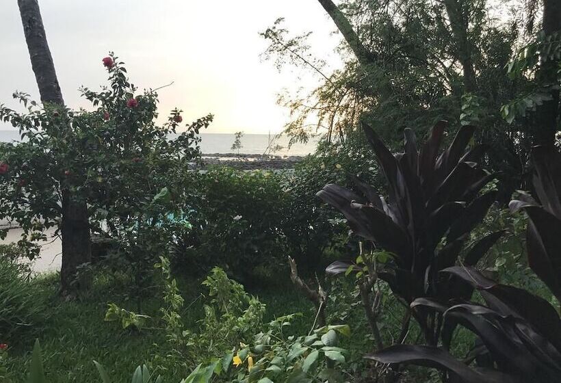 Pension Les Palmiers