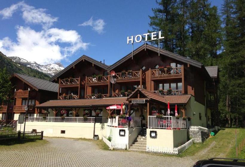 فندق Garni Alpenhof