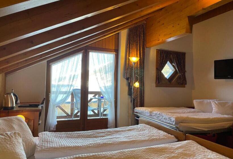 فندق Garni Alpenhof