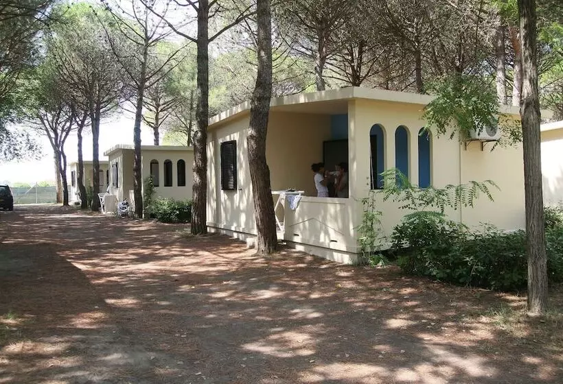 ホテル Club Del Sole Spina Family Camping Village