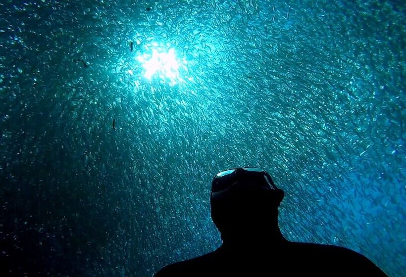 Pansiyon Casa De Moalboal