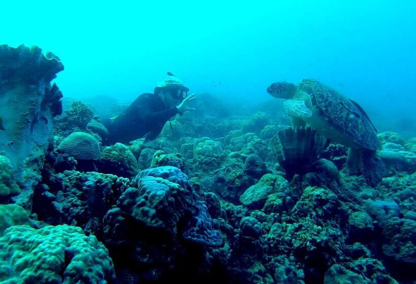 Pansiyon Casa De Moalboal