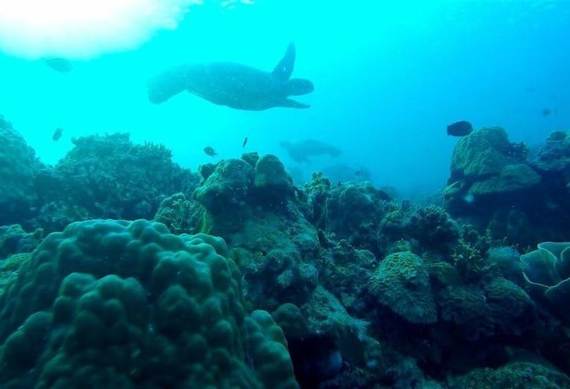 Pansiyon Casa De Moalboal