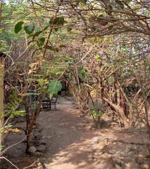 استراحتگاه Campement Le Dogon Du Fouta