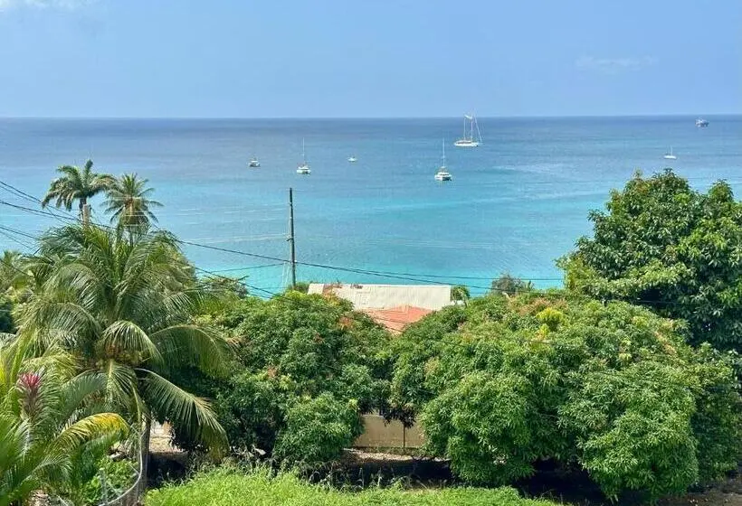 Ocean View Apartments