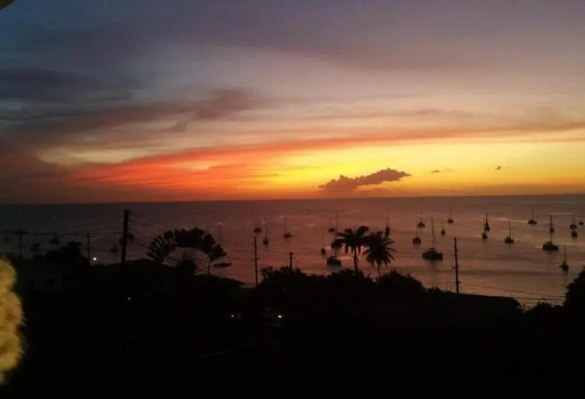 Ocean View Apartments