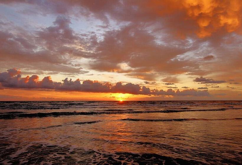 호텔 Aloft Delray Beach