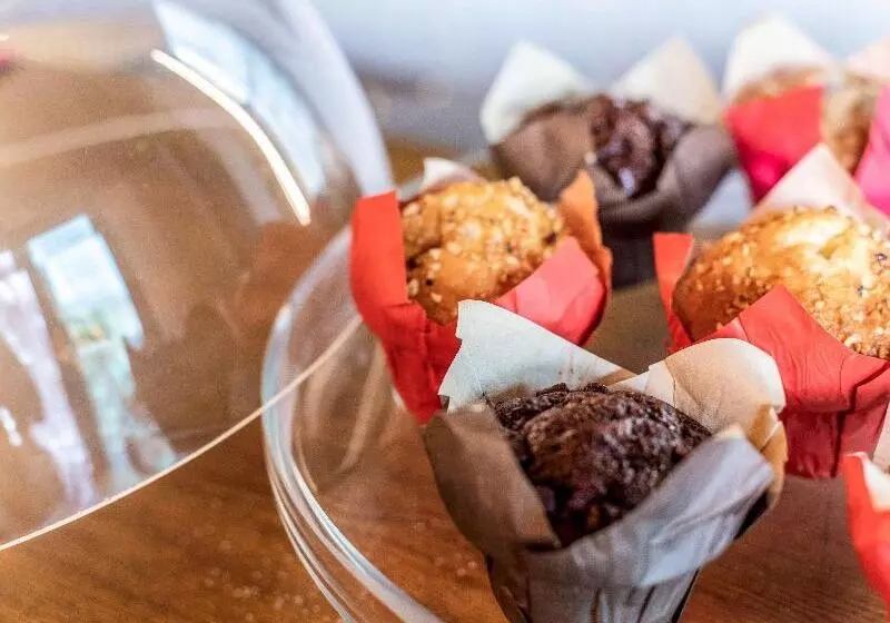 Hotelli Ibis Styles Lausanne Center Mad House