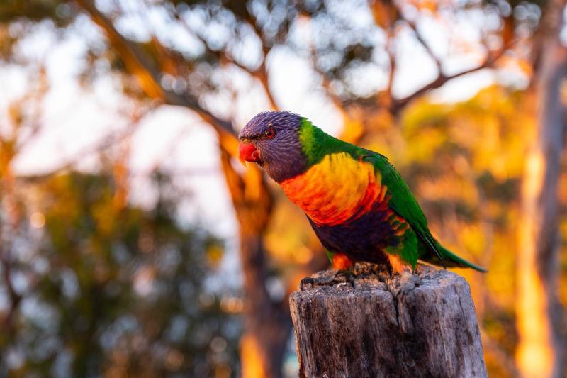 فندق Jetty Road Retreat