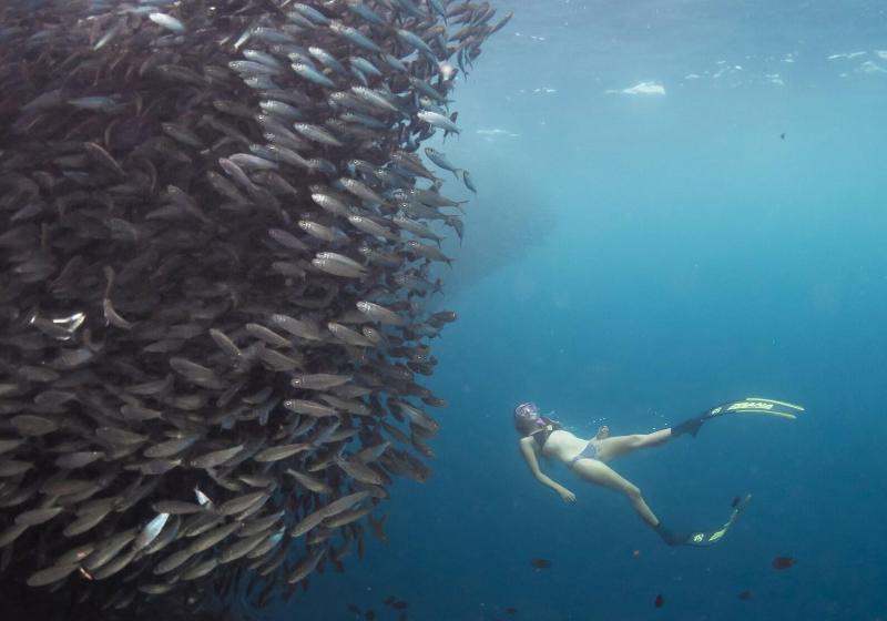 فندق Six Senses Fiji