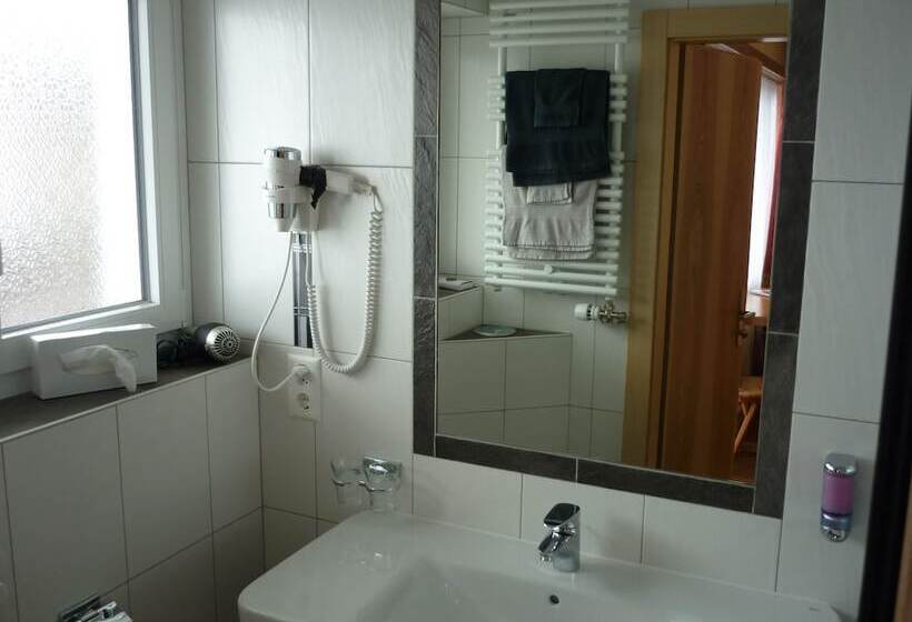 فندق فئة نجمة واحدة Europa Annex