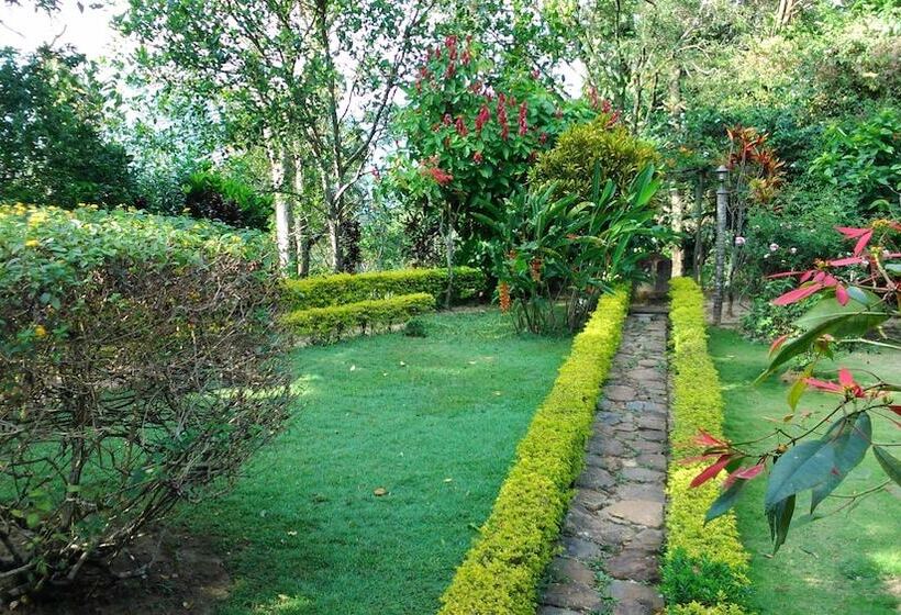 ベッドアンドブレックファースト Sunnyside Holiday Bungalow