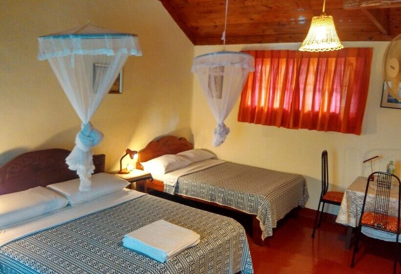 ベッドアンドブレックファースト Sunnyside Holiday Bungalow